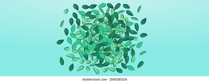 Olive Foliage Organic Vector Panoramic Blue Background Branch. Abstract Leaf Plant. Forest Greens Herbal Poster. Leaves Realistic Banner.