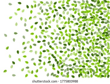 Olive Foliage Organic Vector Wallpaper. Flying Greens Border. Green Leaf Swirl Backdrop. Leaves Falling Background.