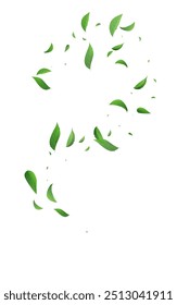 Olive Foliage Organic Vector White Background Pattern. Fresh Leaves Design. Grassy Leaf Spring Banner. Greens Flying Wallpaper.