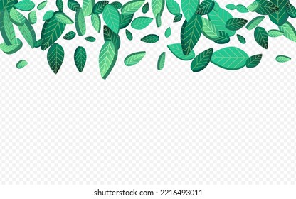 Olive Foliage Realistic Vector Transparent Background Illustration. Abstract Leaf Template. Green Leaves Organic Plant. Greens Tree Background.