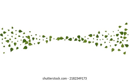 Olive Foliage Realistic Vector White Background Border. Falling Greens Template. Swamp Leaf Transparent Banner. Leaves Tree Poster.