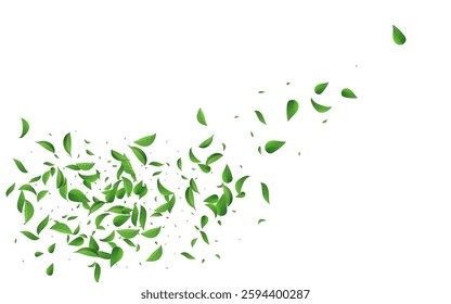 Olive Foliage Realistic Vector White Background Pattern. Flying Leaf Plant. Lime Greens Organic Concept. Leaves Abstract Poster.