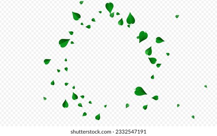Olive Foliage Spring Vector Transparent Background Wallpaper. Nature Leaves Border. Swamp Leaf Swirl Template. Greens Realistic Illustration.