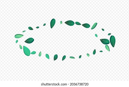 Olive Foliage Swirl Vector Transparent Background Plant. Wind Greens Backdrop. Swamp Leaves Motion Template. Leaf Falling Border.