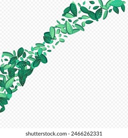 Olive Foliage Transparent Vector Transparent Background Template. Wind Greens Poster. Lime Leaf Forest Wallpaper. Leaves Abstract Background.