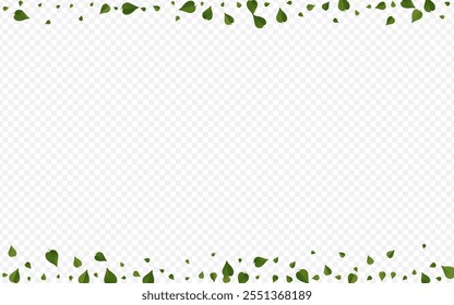 Olive Foliage Transparent Vector Transparent Background Design. Ecology Leaves Branch. Green Leaf Abstract Border. Greens Swirl Poster.