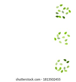 Olive Foliage Transparent Vector Branch. Swirl Leaves Poster. Green Greens Tea Border. Leaf Wind Plant.