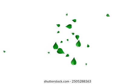 Olive Foliage Transparent Vector White Background Template. Forest Leaves Design. Grassy Greens Spring Plant. Leaf Abstract Pattern.