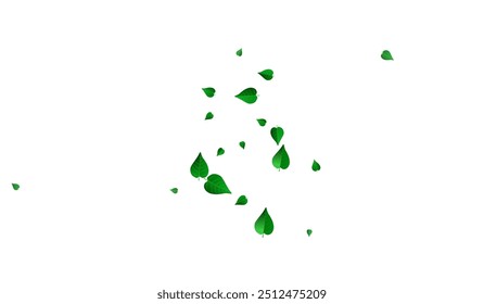 Olive Foliage Transparent Vector White Background Template. Forest Leaves Design. Grassy Greens Spring Plant. Leaf Abstract Pattern.