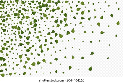 Olive Foliage Tree Vector Transparent Background Pattern. Realistic Greens Branch. Lime Leaves Flying Backdrop. Leaf Nature Illustration.