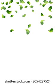 Olive Foliage Tree Vector White Background Border. Motion Leaves Design. Green Greens Swirl Illustration. Leaf Tea Branch.