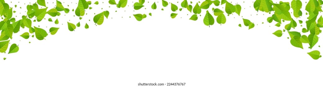 Olive Foliage Wind Vector Panoramic White Background Poster. Nature Leaf Banner. Swamp Greens Blur Template. Leaves Fly Wallpaper.