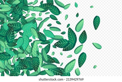 Olive Foliage Wind Vector Transparent Background Template. Fresh Leaves Pattern. Green Greens Organic Plant. Leaf Swirl Branch.