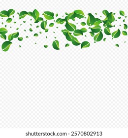 Olive Foliage Wind Vector Transparent Background. Motion Leaves Border. Green Leaf Nature Design. Greens Flying Pattern.