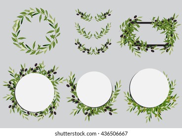 Olive frame set. Olive brunch. Vector illustration