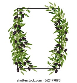 olive frame vector illustration