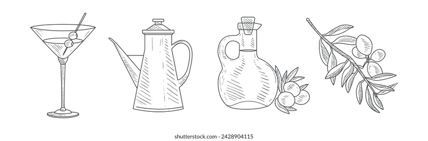 Olive Fresh and Ripe Organic Product Hand Drawn Vector Set