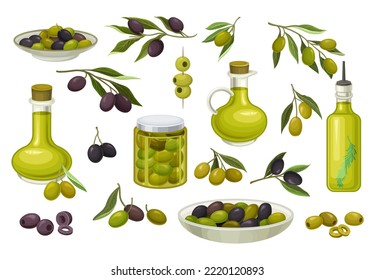 Olive Fruit Branch and Oil in Glass Jar and Canned Food Big Vector Set