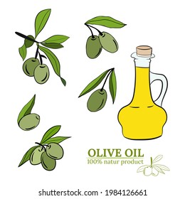 Olive fruit, branches tree and olive oil bottle sketches set. Set of illustrations of olive branch.Olive tree branch hand drawn illustration in sketch style. Design elements for label, emblem, banner.