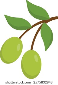 Olive Fruit Cartoon Ilustration Design