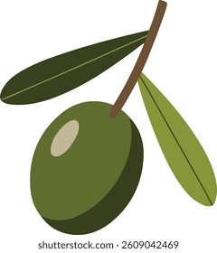 Olive fruit clipart icon vector on a white background.	
