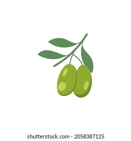 Olive fruit icon design template illustration vector isolated