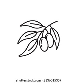 Plantilla de diseño de iconos de frutos de oliva ilustración vectorial aislada