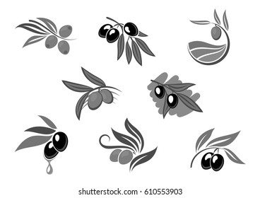 Olive fruit isolated icon set. Olive tree branches with fruit, oil drop and leaf black and white symbols for olive oil bottle label, healthy food and vegetarian nutrition themes design