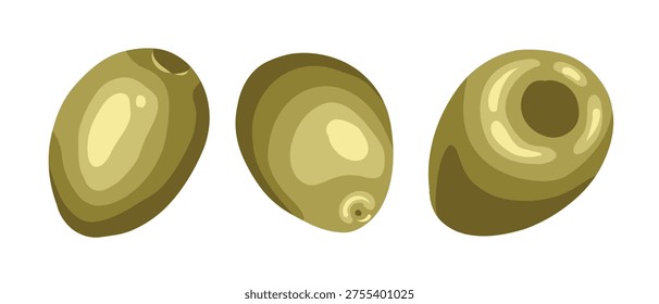 Olive fruit set vector hand drawn illustration. Italian food cartoon drawing for mediterranean cafe menu and restaurant template. Realistic drawing perfect for culinary product graphic design.