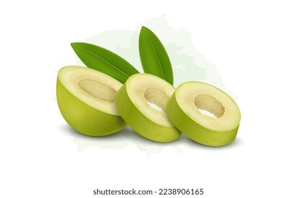 Olive Fruit Slices vector illustration Isolated on white Background