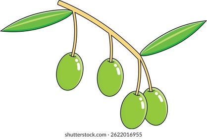 ilustração de design de vetores de frutos de oliveira