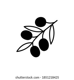 Olive fruits and leaves icon vector illustration