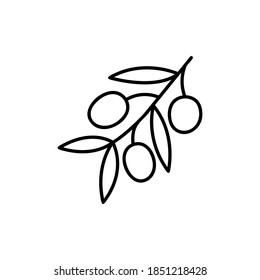 Olive fruits and leaves icon vector illustration
