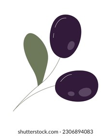 Olive fruits on branch Vector Illustration