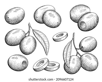Olive graphic set black white isolated sketch illustration vector 