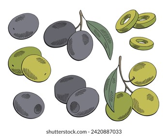 Olive graphic set color isolated sketch illustration vector 