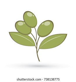 Olive graphic vector
