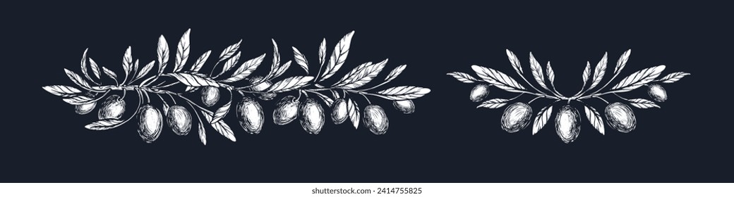 Olive gravure branch with leaves and ripe fruit. Vector retro hand drawn sketch. Mediterranean food, aroma oil