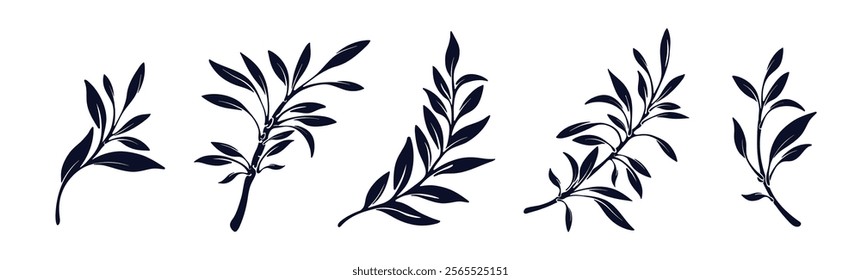 Olive greek leaf. Vector graphic shape. Emblem depicting an award. Vintage champion sign. Sport graphic silhouette. Botanical plant icon set. Packaging imprint for food design