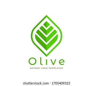 Olive green leaf logo design templates. eco green concept with modern style.