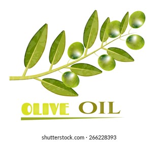 Olive, green twig with many olives, text