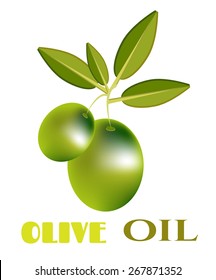 Olive, green twig with many olives, text