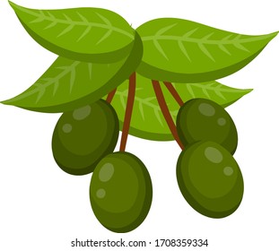 Oliva. Verduras en rama con hojas. Elemento de aceite y una dieta saludable. Dibujo plano de caricatura aislado en blanco