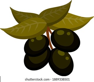 Olivo. Verdura en rama con hojas. Elemento de aceite y una dieta sana. Ilustración plana de dibujos animados aislada en blanco