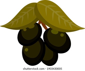 Olive. Green vegetable on branch with leaves. Element of oil and a healthy diet. Cartoon flat illustration isolated on white