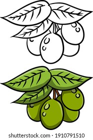 Olive. Green vegetable on branch with leaves. Element of oil and a healthy diet. Cartoon illustration isolated on white