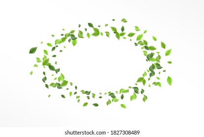 Olive Greenery Blur Vector White Background Backdrop. Swirl Leaves Border. Swamp Foliage Tea Banner. Leaf Falling Pattern.