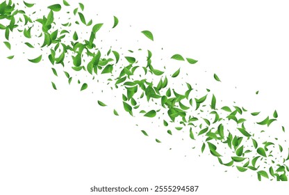 Olive Greens Abstract Vector White Background Template. Nature Leaf Poster. Swamp Foliage Herbal Wallpaper. Leaves Swirl Pattern.
