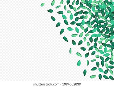 Olive Greens Blur Vector Transparent Background Pattern. Abstract Leaf Branch. Lime Foliage Realistic Plant. Leaves Flying Illustration.