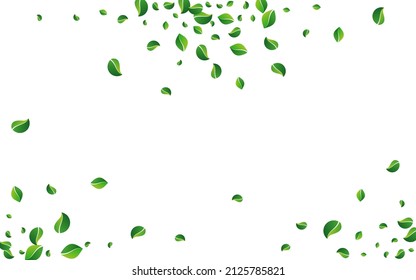 Olive Greens Blur Vector White Background. Falling Leaf Design. Grassy Leaves Abstract Pattern. Foliage Transparent Concept.